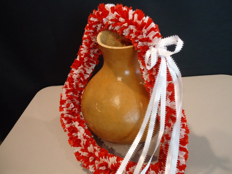 Red and White Carnation Ribbon Lei