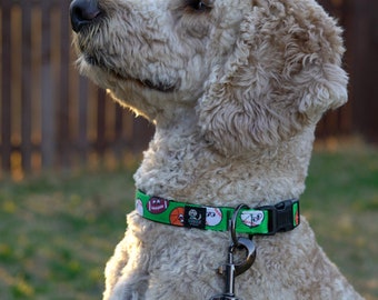 Sports Dog Leash and Collar Combo