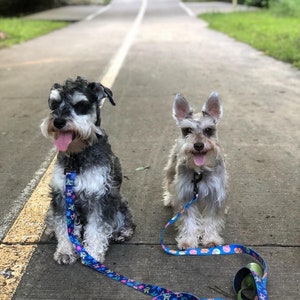 Ice Cream Dog Leash and Collar Combo