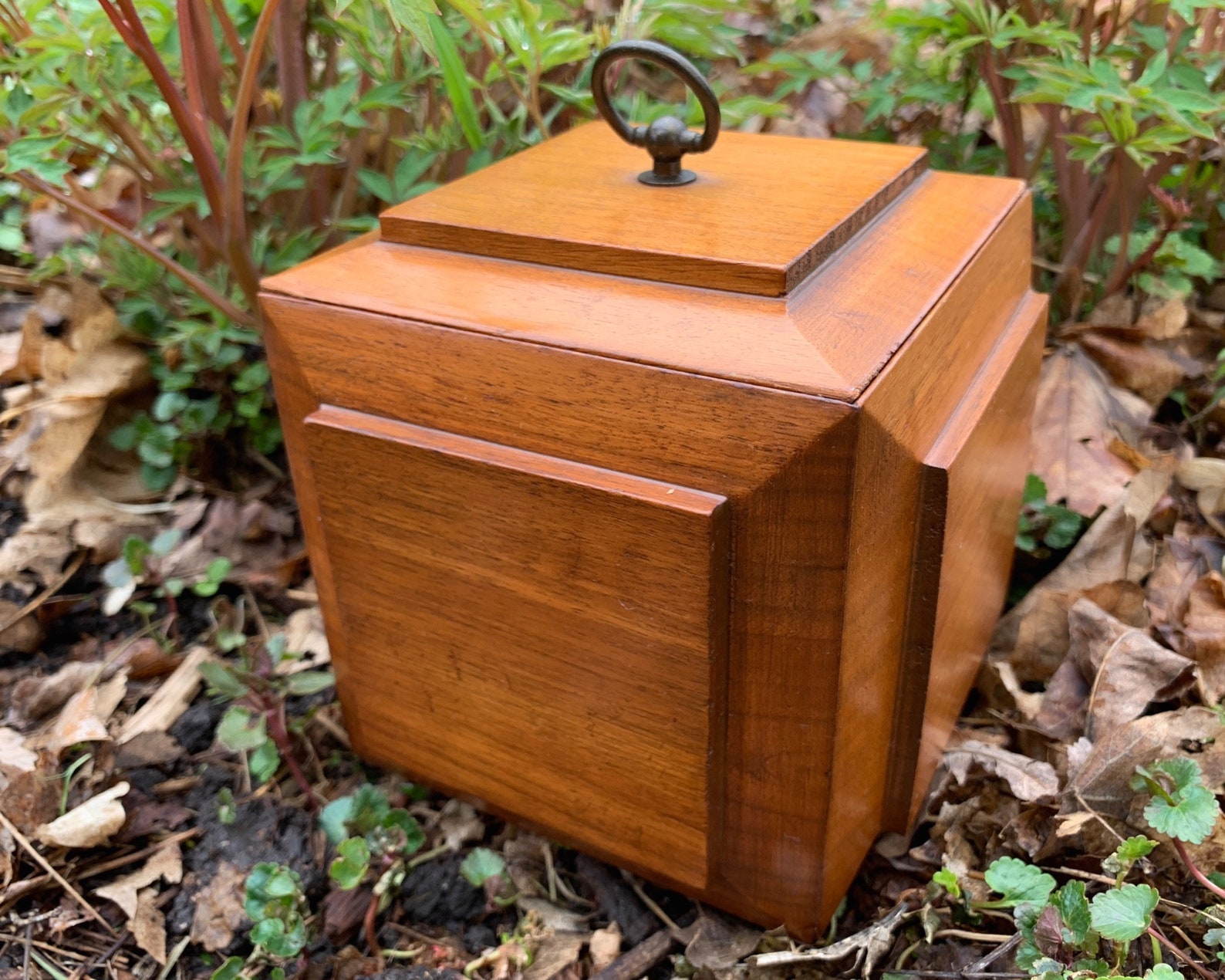Vintage Wood Tea Caddy Box Beveled Paneled Wood Tea Box Footed Etsy