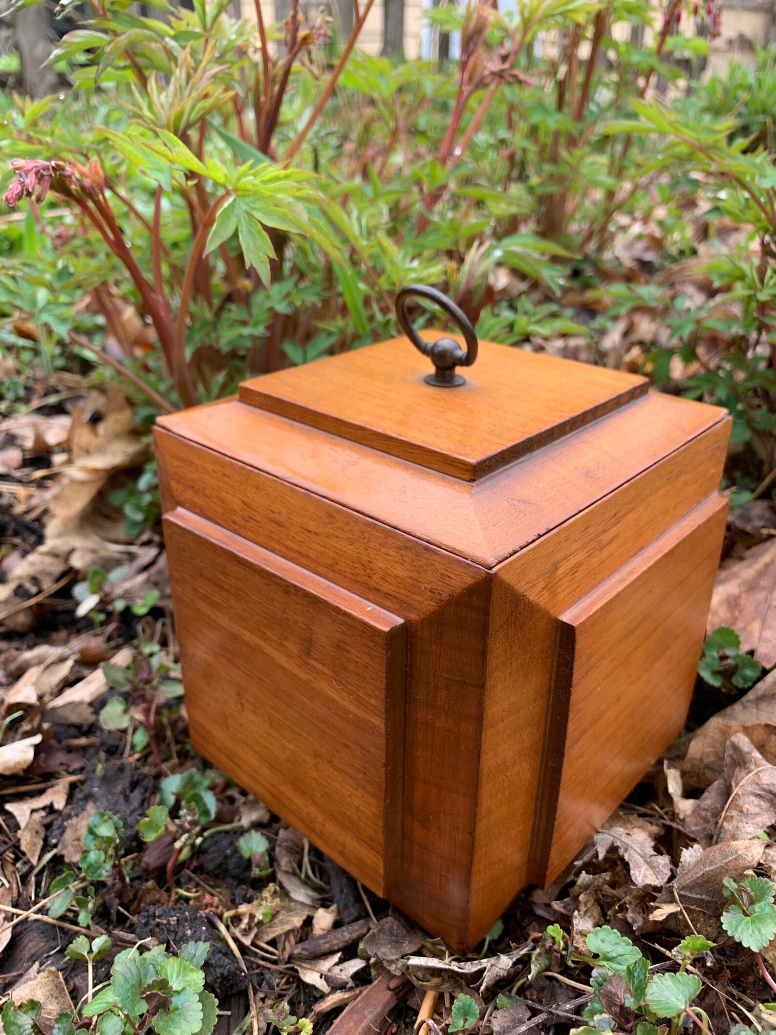Vintage Wood Tea Caddy Box Beveled Paneled Wood Tea Box Footed Etsy