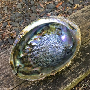 Abalone Shell |smudging | energy cleansing | beaded bracelet | women&#39;s jewelry | handmade | crystal jewelry | wire wrapped | necklace