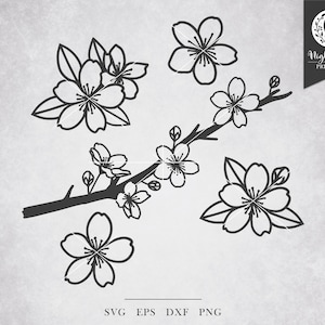Sakura SVG Bundel - kersenbloesem svg, bloemmotief svg, bloem en bladeren svg, bloem svg bundel, bloemen border, bruiloft bloemen