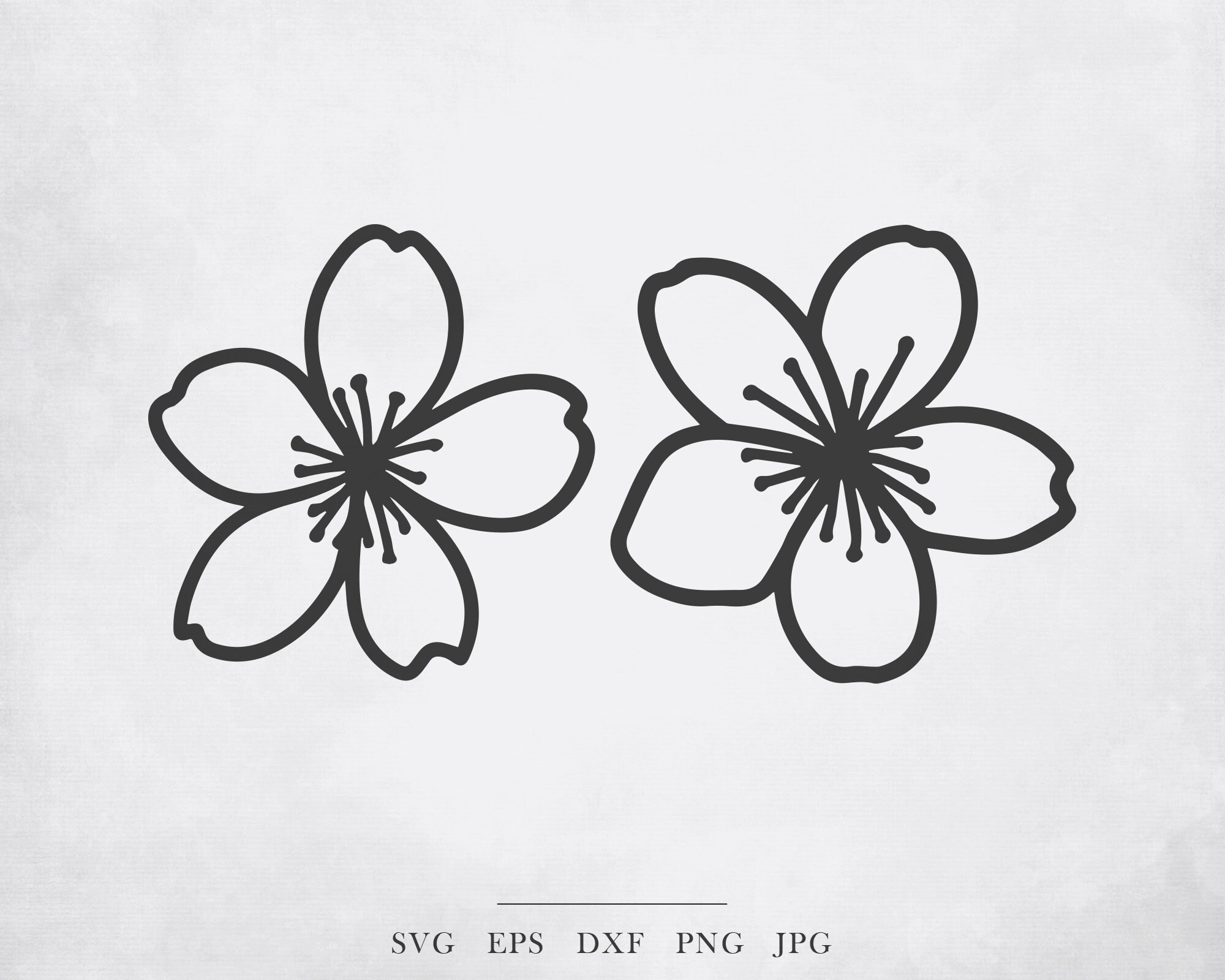 Cherry Blossom Svg Sakura Branch Svg Floral Svg Flowe vrogue.co