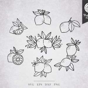 Lemon SVG Bundle - fruit svg, lemon slice svg, floral svg, lemon border svg, summer svg, lemonade stand, lemon clip art, lemon silhouette