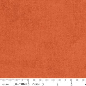 Shades Autumn by Riley Blake Designs - C200-AUTUMN