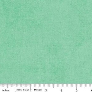 Shades Sweetmint by Riley Blake Designs - C200-SWEETMINT