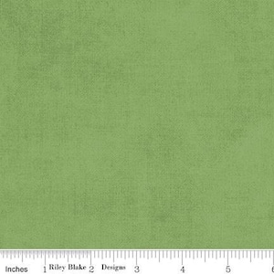 Shades Green by Riley Blake Designs - C200-GREEN