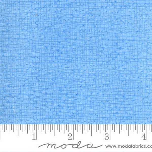 Thatched Cottage Bleu Mist by Robin Pickens for Moda Fabrics (48626 146)