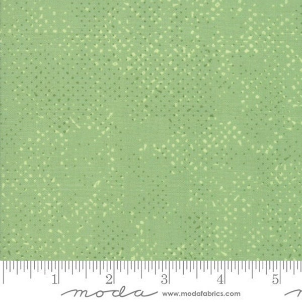 Spotted Celadon by Zen Chic for Moda Fabrics (1660 64)