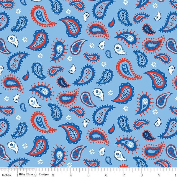 Red White & Bang! Paisley Blue by Sandy Gervais for Riley Blake Designs - C11522-BLUE