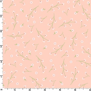 Pretty Petals Peach Designed by Kim Christopherson of Kimberbell Designs for Maywood Studios - MAS8260-C