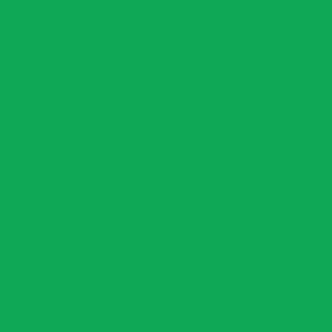 Confetti Cottons Emerald City Solid by Riley Blake Designs - C120-EMERALDCITY