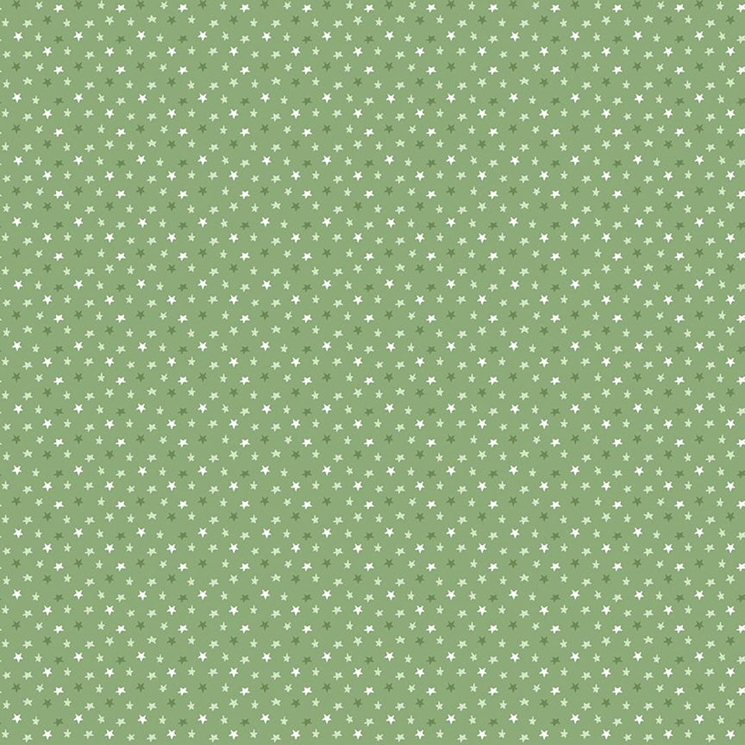 Baby Boy Stars Basil by Lori Whitlock for Riley Blake Designs - C16766 ...