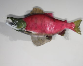 Sockeye Salmon Taxidermy for sale.