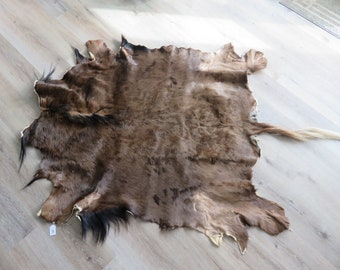 Black Wildebeest tanned skin/hide