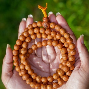Hochwertige Bodhi Mala oder Hand Handgelenk Mala | 11 mm echtes Phönixauge Bodhi Mala aus Nepal