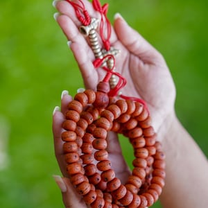 12mm Bodhi Mala - Genuine Bodhi Japa Mala with Vajra & Bell | Prayer One Eye Mala for reciting mantra 108 times