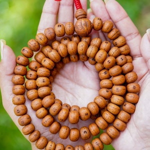May include: A brown wooden mala bead necklace with a red string and a brown wooden bead at the end. The mala is held in the hands of a person.