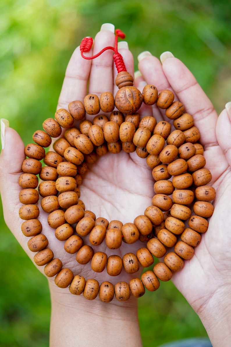 May include: A brown wooden mala bead necklace with a red string and a brown wooden bead at the end. The mala is held in the hands of a person.