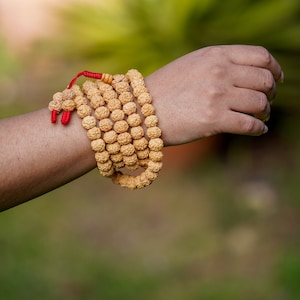 Sacred Rudraksha Seed Mala | Crafted with Natural Seeds | Ideal Mother's Day Gift of Spiritual Significance