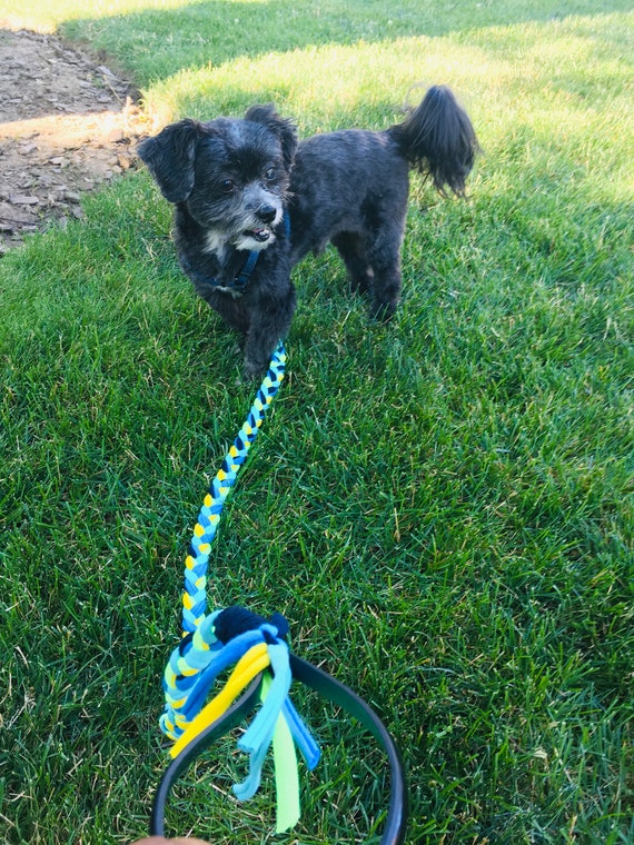 Stretchy Dog re Leashes Etsy