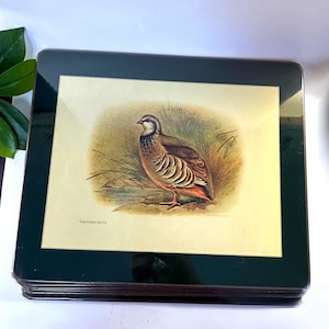 Vintage Sheraton Water and Land Fowl Birds w/Green Border Boxed Set of Six Traditional Cork Backed HotPlate/Placemats, Wall Hanging, ENGLAND