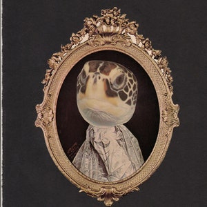 May include: A collage featuring a turtle's head superimposed on a portrait of a person in a vintage frame. The frame is gold-colored with ornate detailing, set against a black background. The turtle's head has a patterned shell.
