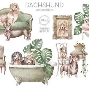 Dachshund dog clipart png, dachshund dogs and puppies digital graphics download, commercial and personal use