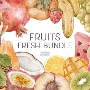 Fruits clipart bundle digital download, watercolour fruits png digital graphics, tropical summer fruits illustrations