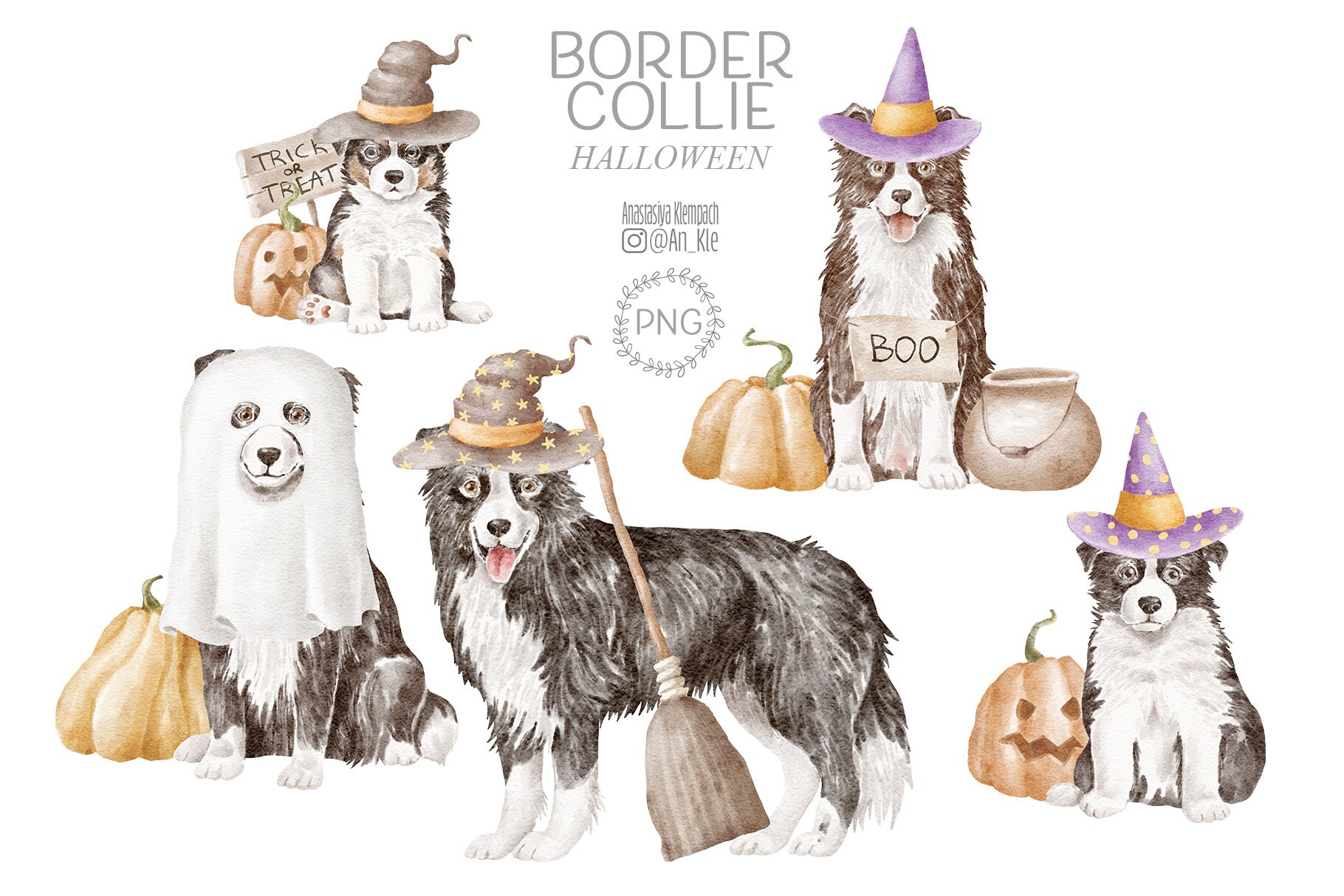 Beautiful Border Collie in Halloween Costume