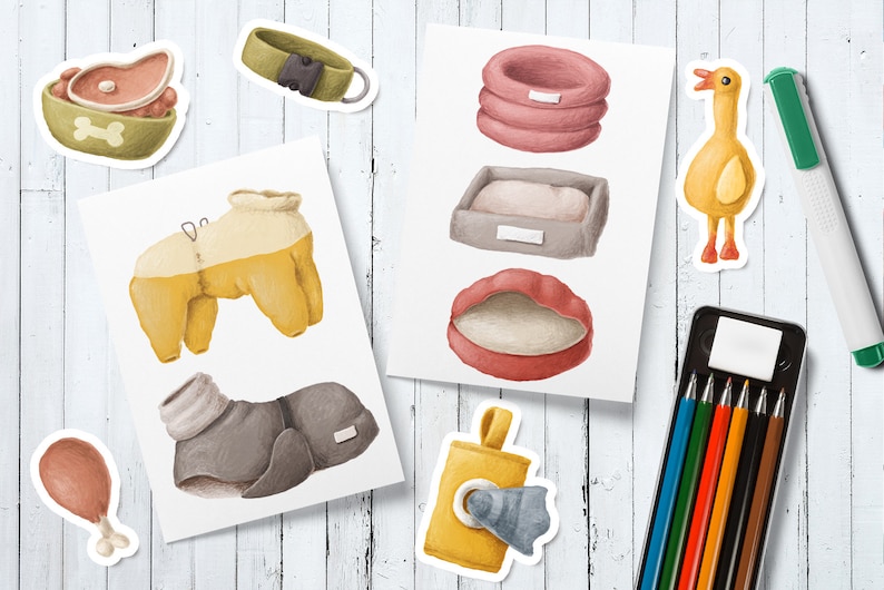 Item collections. Dog items.