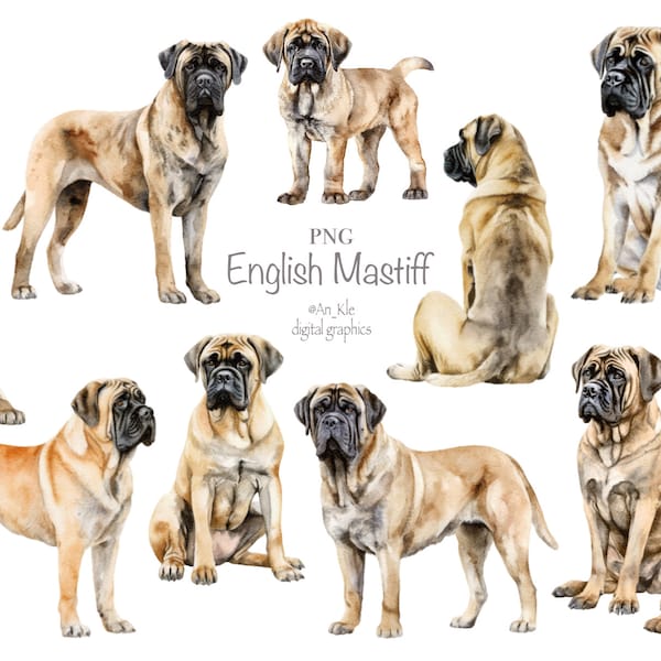 English Mastiff dogs clipart png digital download, watercolour Mastiff illustrations digital graphics, commercial and personal use