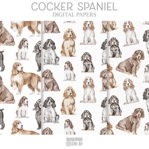 English Cocker Spaniel Dog Digital Paper Pack, SEAMLESS Patterns ...