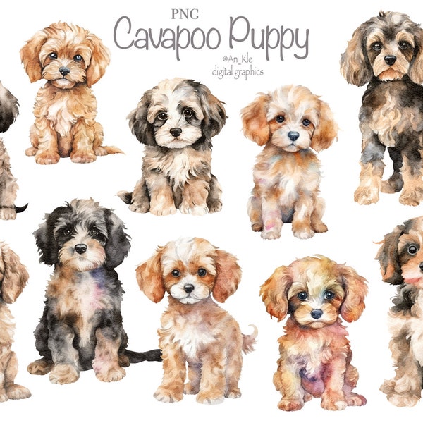 Cavapoo puppies clipart png, watercolor dogs illustrations, whimsical puppy, dog portrait, commercial pod