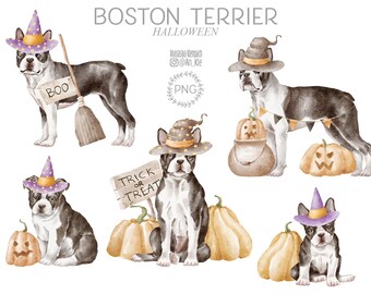 Boston Terrier Pumpkin Stencil - Etsy