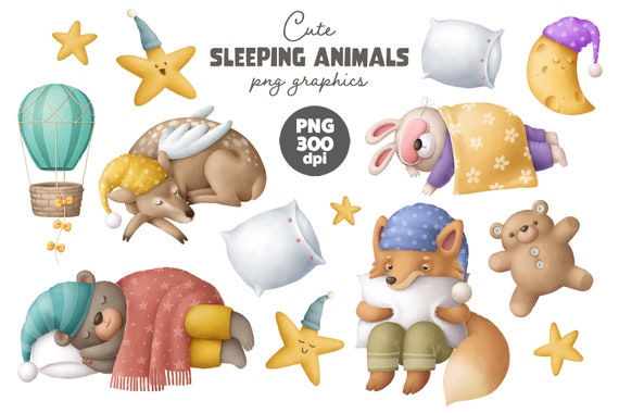 Cute Sleeping Baby Animals Clipart Nursery Animals Png Kids - Etsy Cute Sleeping Baby Animals Clipart Nursery Animals Png Kids - Etsy