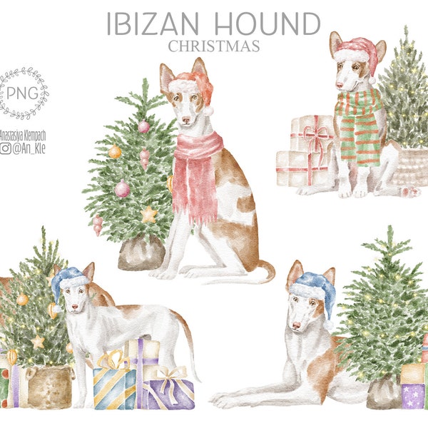 Ibizan Hound Christmas clipart png digital download, Podenco ibicenco in Santa hat, watercolor Lurcher dogs, greeting card diy printable art