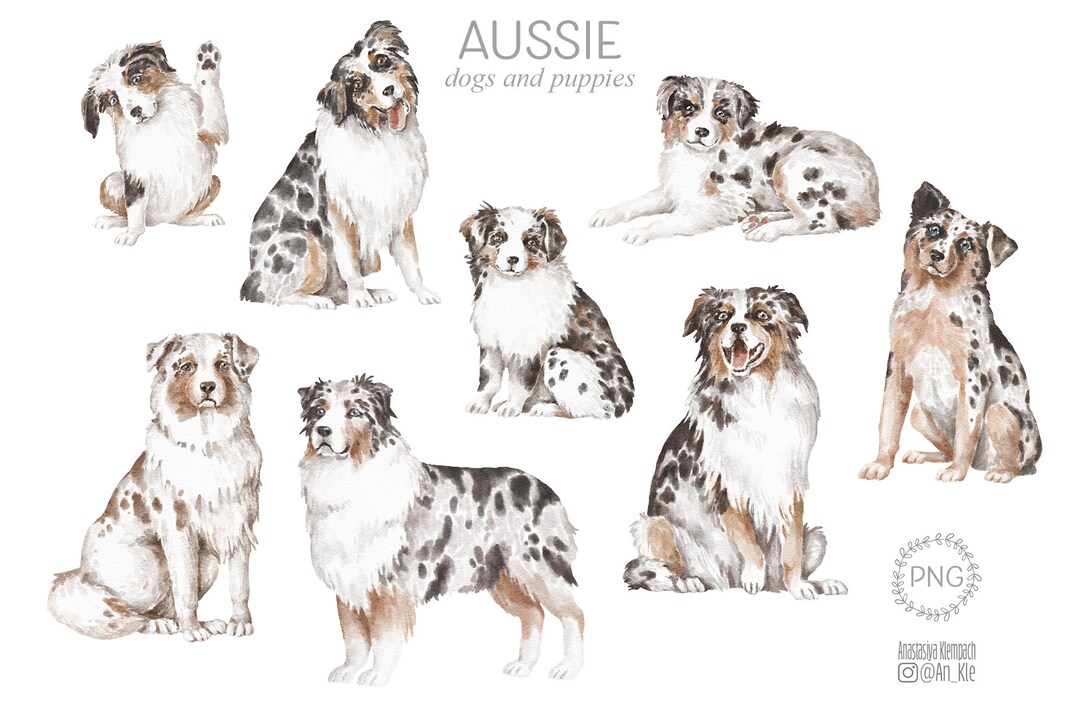Aussie Dogs Clipart PNG, Hand Drawn Australian Shepherd Dogs and ...