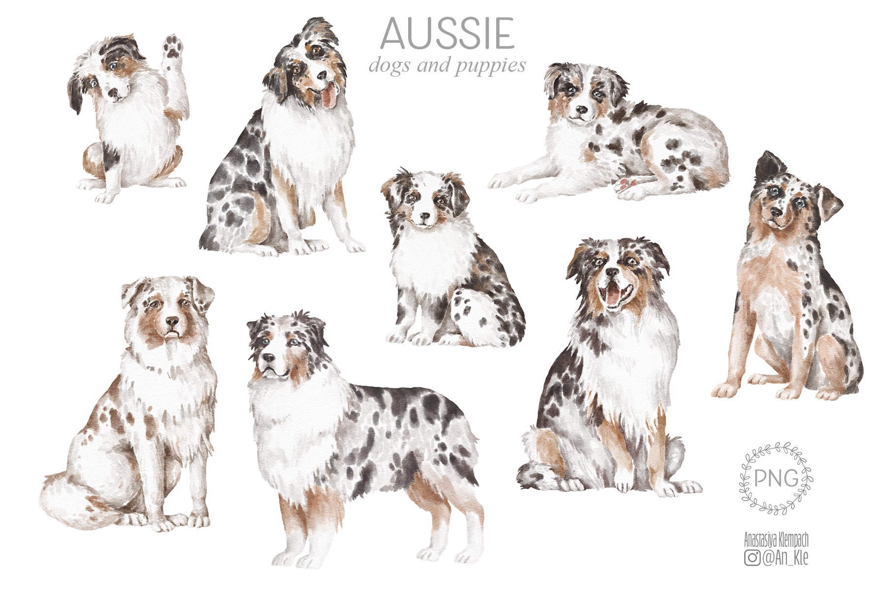 Australian Shepherd Dogs Png Dog Clipart Watercolor Dog - Etsy