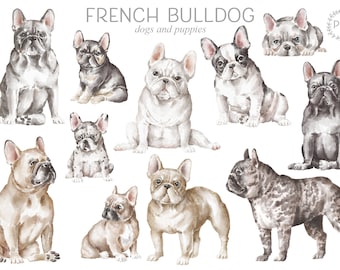 French Bulldog dogs and puppies png clipart, watercolor dogs digital download, commercial and personal use