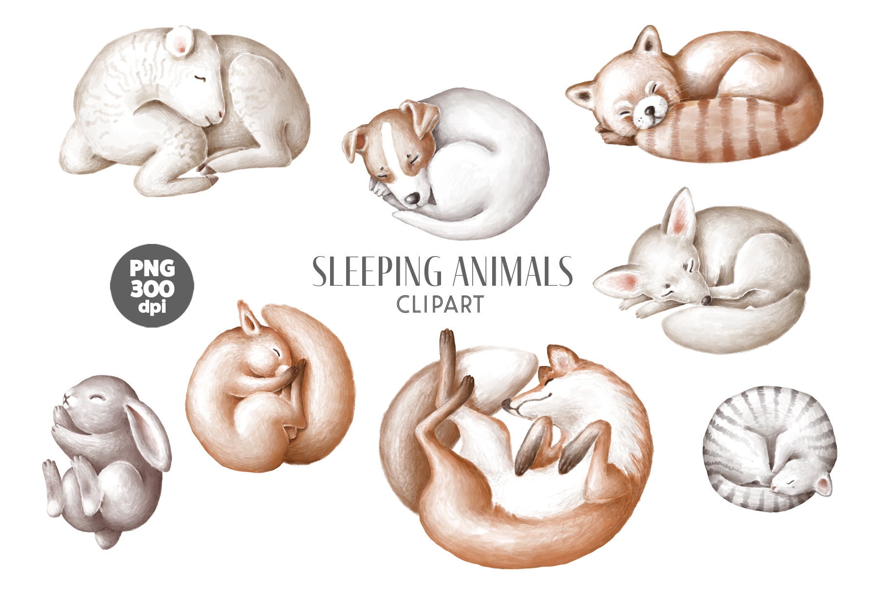Cute Sleeping Animals Clipart Nursery Animals Digital - Etsy Cute Sleeping Animals Clipart Nursery Animals Digital - Etsy