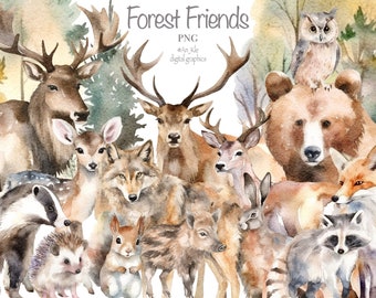 Forest animals clipart Bundle png digital download, watercolor woodland animals whimsical illustrations, commercial pod