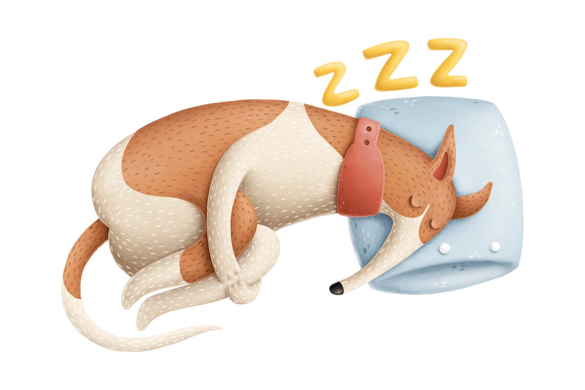 Funny Dog Characters Clipart Digital Download Digital Etsy