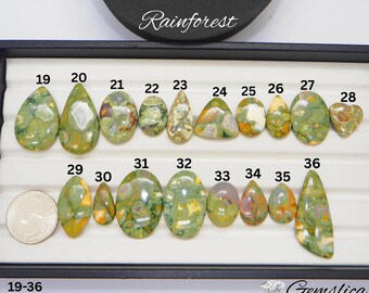 Regenwald Jaspis Cabochon, flache Rückseite - Vielseitiges Schmuckstück zum Perlenbinden, Setting oder zum Sammeln