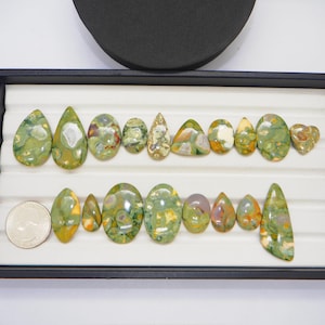 レインフォレストジャスパーカボション、フラットバック – ビーズ細工、セッティング、コレクションに最適な万能宝石