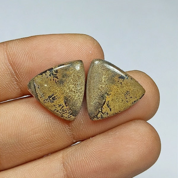 Paintbrush Jasper Etsy