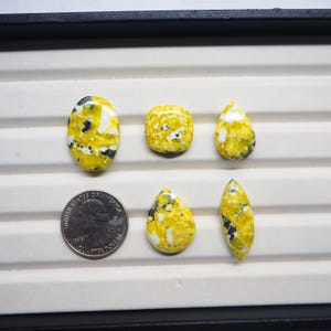 May include: Six yellow, white, and black gemstone cabochons in various shapes, including oval, square, and teardrop. A US quarter is included for size comparison. The gemstones are displayed on a white surface within a black tray.