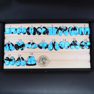 Può includere: Una collezione di diciannove paia di cabochon in turchese blu brillante e nero disposti in un vassoio da esposizione, numerati da uno a diciannove, con una moneta da un quarto di dollaro statunitense inclusa per mostrare la scala.