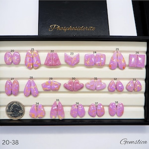 May include: A selection of phosphosiderite gemstones in a range of shapes, such as ovals, teardrops, and squares. The stones are light purple with gold veining, presented in a black tray. A coin is included for size reference.